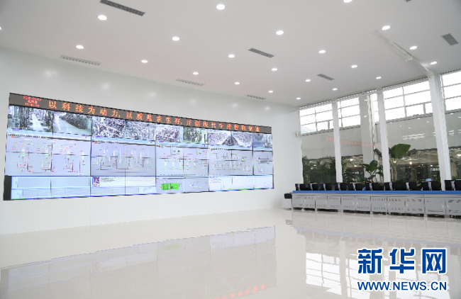 强信心·走进百企丨pa旗舰厅药业：“数智化”助力中医药开启发展新篇章